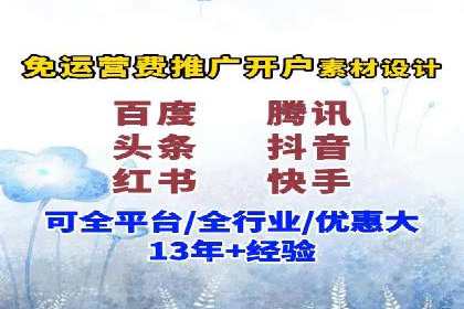某电商平台的SEM推广策略及效果分析